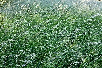 据报道B社曾试图将《辐射4》移植至Switch主机